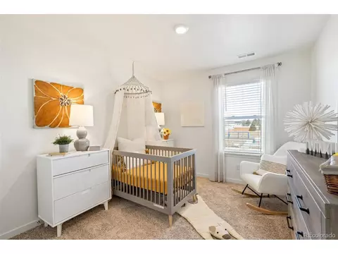 5010 Abigar St, Windsor, CO 80528 photo 25