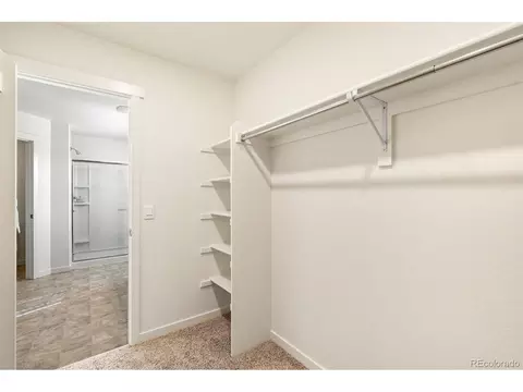 5010 Abigar St, Windsor, CO 80528 photo 24