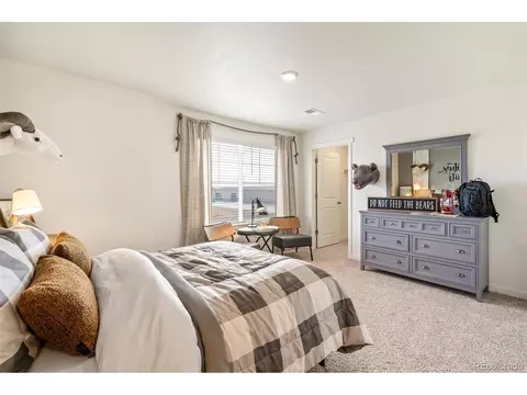 5010 Abigar St, Windsor, CO 80528 photo 27