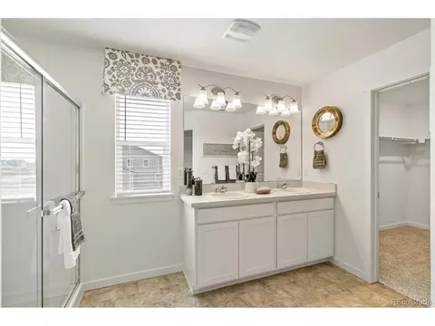 5010 Abigar St, Windsor, CO 80528 photo 23