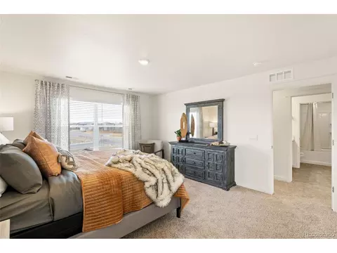 5010 Abigar St, Windsor, CO 80528 photo 20