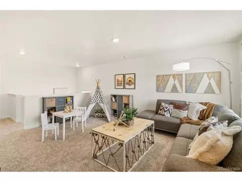 5010 Abigar St, Windsor, CO 80528 photo 19