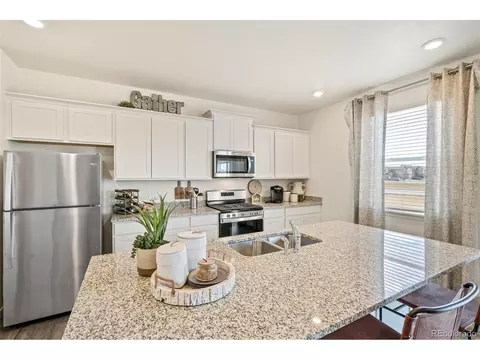 5010 Abigar St, Windsor, CO 80528 photo 14