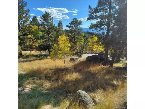 30898 Witteman Rd, Conifer, CO 80433 photo 18
