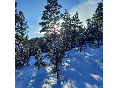 30898 Witteman Rd, Conifer, CO 80433 photo 30