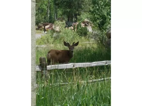 30898 Witteman Rd, Conifer, CO 80433 photo 23