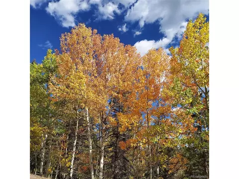 30898 Witteman Rd, Conifer, CO 80433 photo 29