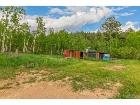 40 Lois St, Bailey, CO 80421 photo 32