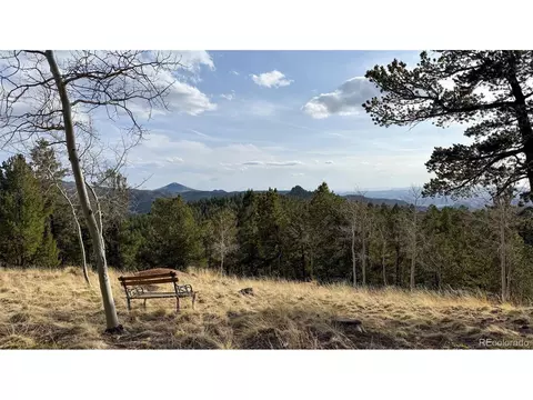 239 Homestead Rd, Divide, CO 80814