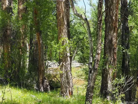 18290 County Road 162, Nathrop, CO 81236