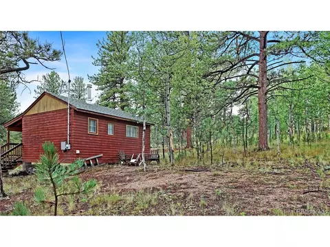 109 Wolf, Bailey, CO 80421 photo 11