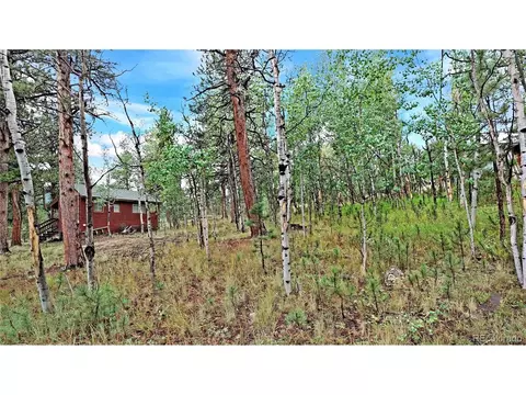 109 Wolf, Bailey, CO 80421 photo 12