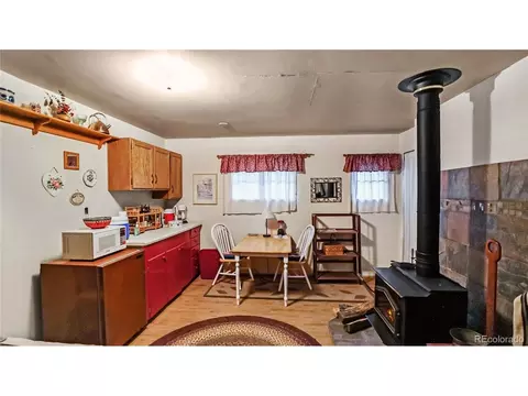 109 Wolf, Bailey, CO 80421 photo 4