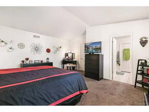 1900 E 127th Cir, Thornton, CO 80241 photo 17