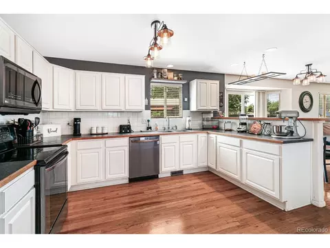 1900 E 127th Cir, Thornton, CO 80241 photo 11