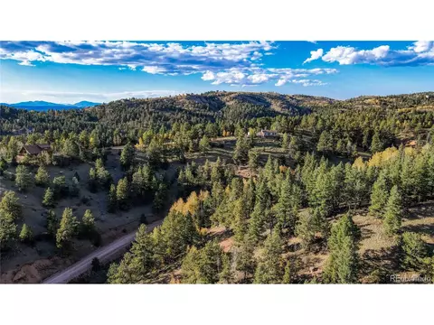 308 Idlewild Dr, Cripple Creek, CO 80813