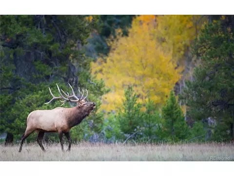 Other - 8938 Hillview Rd, Morrison, CO 80465 photo 11 of 13
