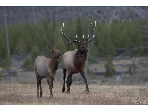 Other - 8938 Hillview Rd, Morrison, CO 80465 photo 12 of 13