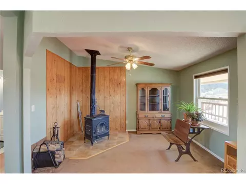 11466 Ruby Mountain Ln, Nathrop, CO 81236 photo 14