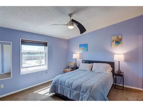 11466 Ruby Mountain Ln, Nathrop, CO 81236 photo 23
