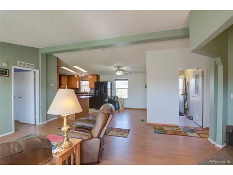 11466 Ruby Mountain Ln, Nathrop, CO 81236 photo 19
