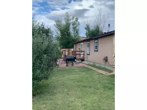 11466 Ruby Mountain Ln, Nathrop, CO 81236 photo 36