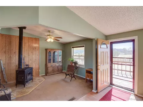 11466 Ruby Mountain Ln, Nathrop, CO 81236 photo 16