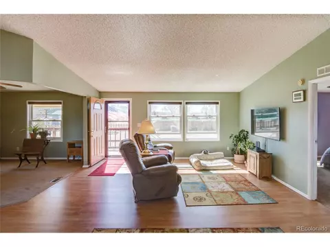 11466 Ruby Mountain Ln, Nathrop, CO 81236 photo 17