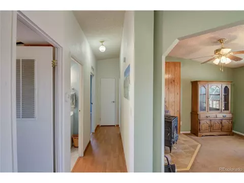 11466 Ruby Mountain Ln, Nathrop, CO 81236 photo 31