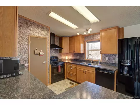 11466 Ruby Mountain Ln, Nathrop, CO 81236 photo 6