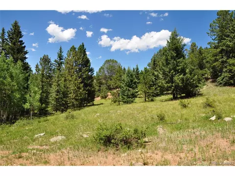 540 Anges Dr, Cripple Creek, CO 80813
