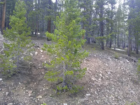 417 Glory Hole Rd, Idaho Springs, CO 80452