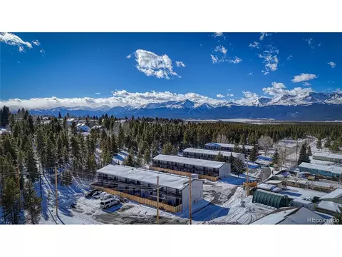 921 Mt Massive Dr #2-20, Leadville, CO 80461