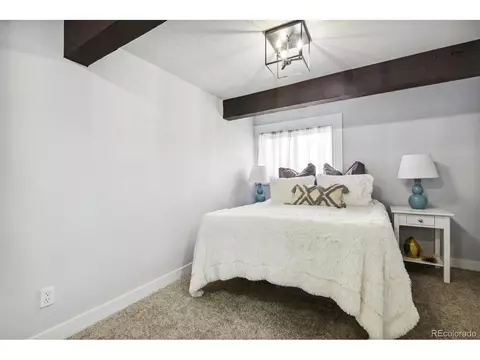 3045 Forest St, Denver, CO 80207 photo 16