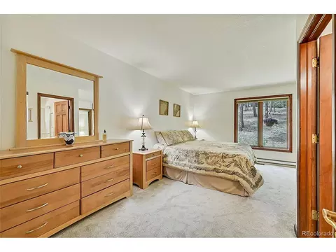 126 Victoria Rd, Pine, CO 80470 photo 21