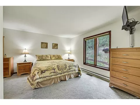 126 Victoria Rd, Pine, CO 80470 photo 23