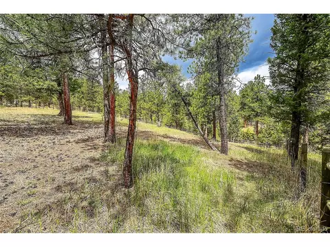 126 Victoria Rd, Pine, CO 80470 photo 39