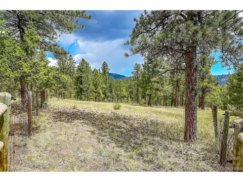 126 Victoria Rd, Pine, CO 80470 photo 38