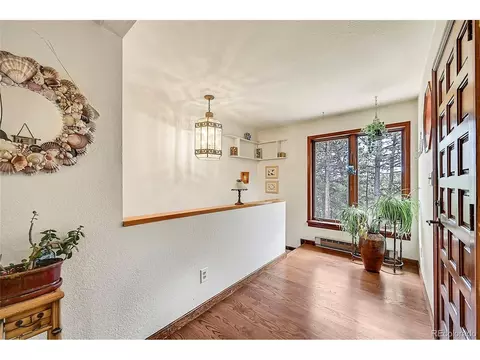 126 Victoria Rd, Pine, CO 80470 photo 13