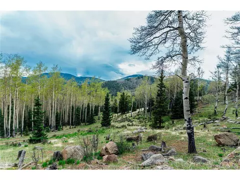 County Road 8, Divide, CO 80814 photo 4