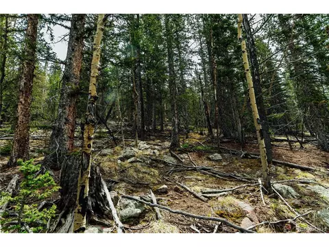 County Road 8, Divide, CO 80814 photo 7