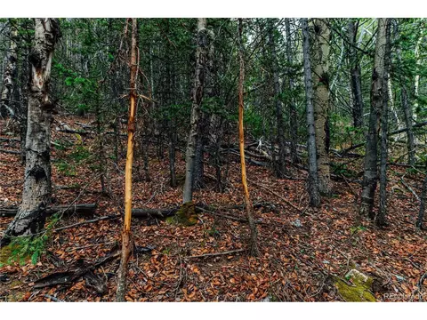 County Road 8, Divide, CO 80814 photo 9
