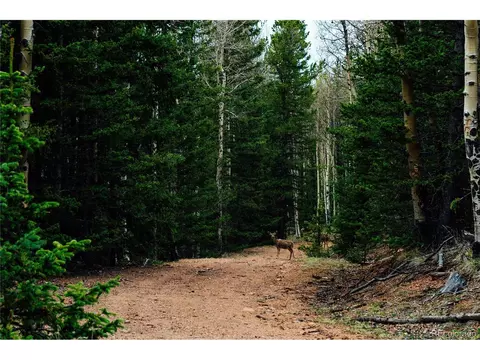 County Road 8, Divide, CO 80814 photo 11