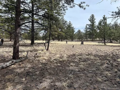 2146 Wagon Wheel Rd, Hartsel, CO 80449