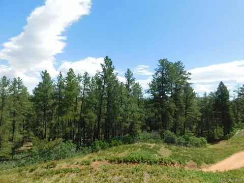 4523 Cheyenne Dr, Larkspur, CO 80118