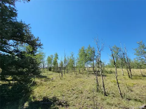 1031 Buffalo Ridge Rd, Como, CO 80432 photo 4