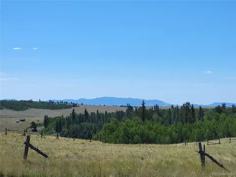 1031 Buffalo Ridge Rd, Como, CO 80432 photo 10