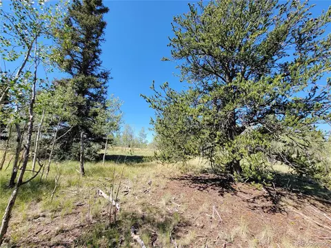 1031 Buffalo Ridge Rd, Como, CO 80432 photo 16