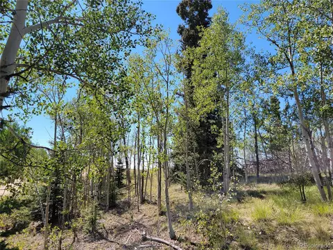 1031 Buffalo Ridge Rd, Como, CO 80432 photo 2