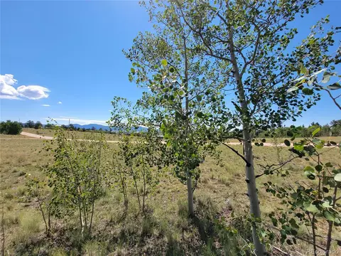 1031 Buffalo Ridge Rd, Como, CO 80432 photo 7